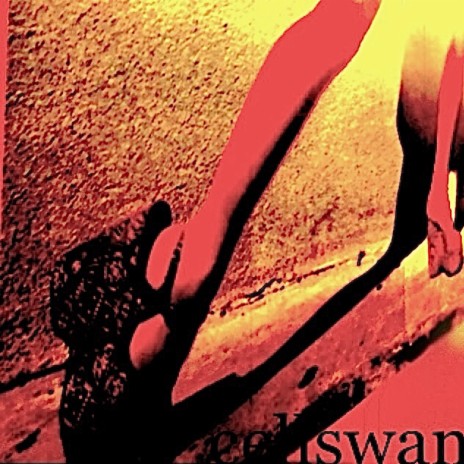 cell-swan