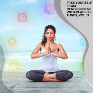Free Yourself from Restlessness with Peaceful Tunes, Vol. 11