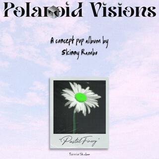 Polaroid Visions