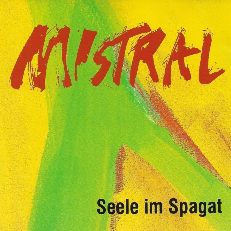 Seele Im Spagat | Boomplay Music