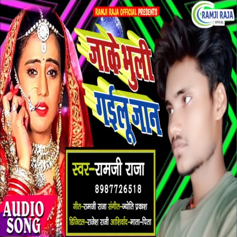 Jake Bhuli Gailu Jaan | Boomplay Music