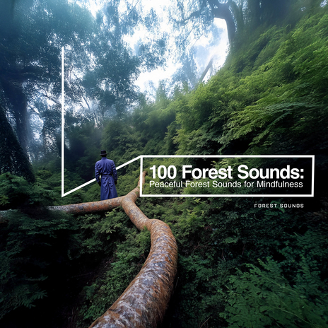 Forestation Sounds for Sleep | Boomplay Music