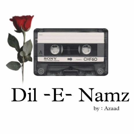 Dil-E-Nazm | Boomplay Music