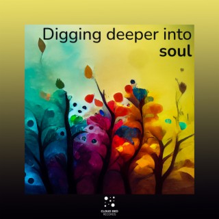 Digging deeper into soul