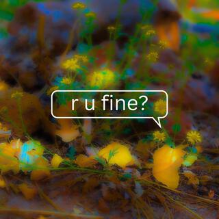 r u fine? (live)