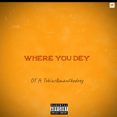 Where you dey | Boomplay Music