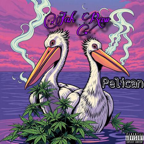 Pelican | Boomplay Music