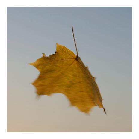 Autumn Leaves | Boomplay Music