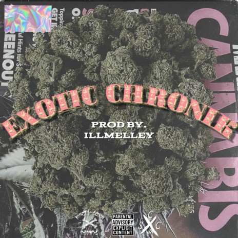 Exotic ChroniK | Boomplay Music