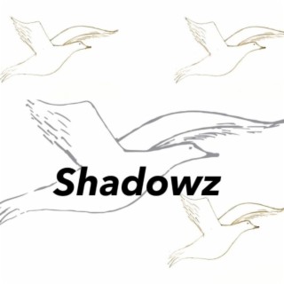 Shadowz