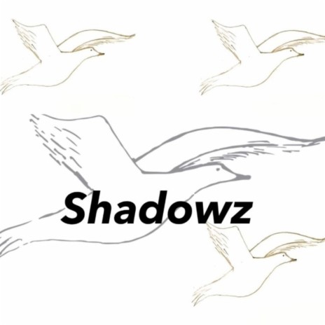 Shadowz | Boomplay Music