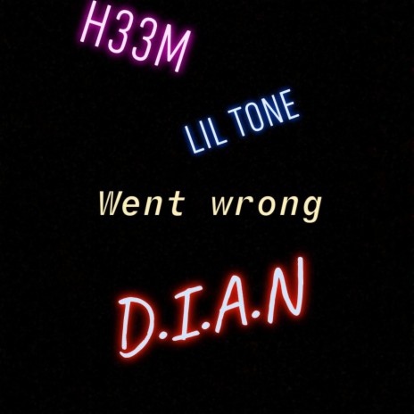 Went Wrong ft. H33M & Lil Tone