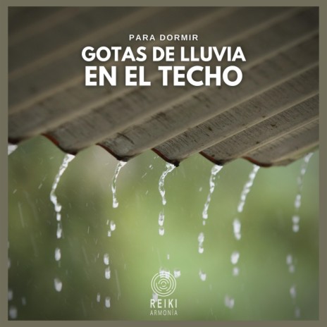 Para Dormir: Gotas de Lluvia en el Techo, Pt. 23 | Boomplay Music