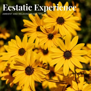 Ecstatic Experience - Ambient and Relaxing Music, Vol. 10