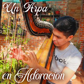 Un Arpa en Adoración - Volumen 6