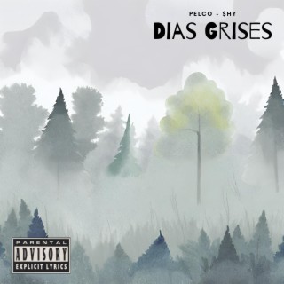 Dias Grises ft. Pelco lyrics | Boomplay Music