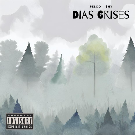 Dias Grises ft. Pelco | Boomplay Music