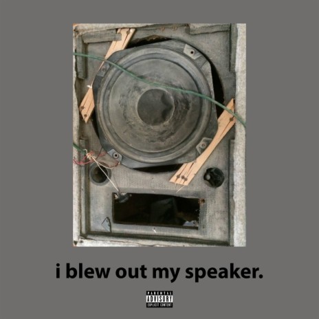 i blew out my speaker