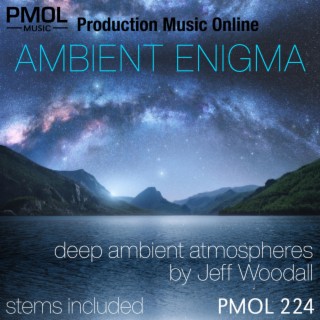 Ambient Enigma