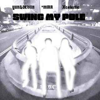 SWING MY POLE ft. XcalArtic & yungdeviin lyrics | Boomplay Music