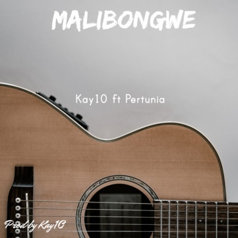 Malibongwe ft. Pertunia | Boomplay Music