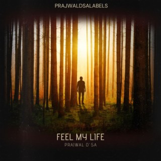 Feel My Life (Special Version)