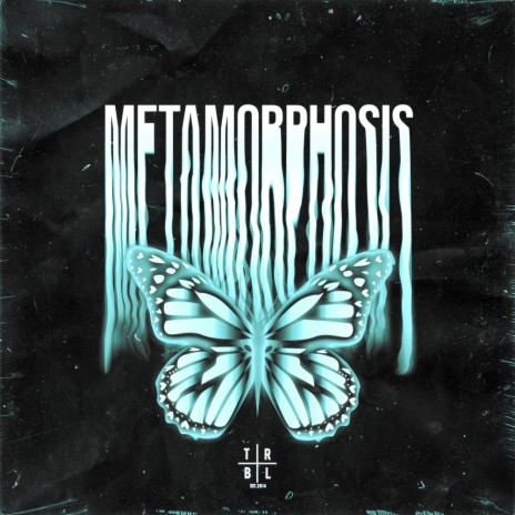 METAMORPHOSIS (Slowed + Reverb) ft. slowed down music