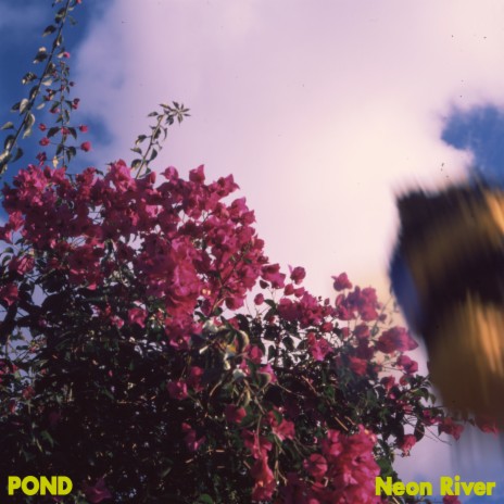 Neon River | Boomplay Music