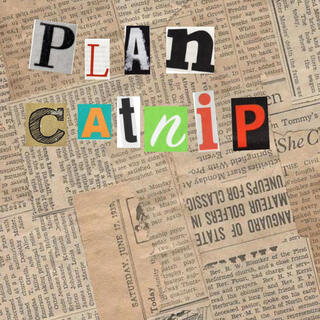 Plan Catnip