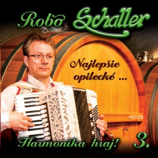 Robo Schaller