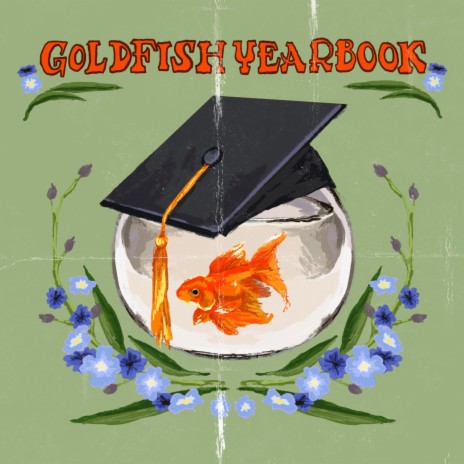 Goldfish Intro