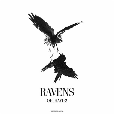 Ravens (Original Mix)