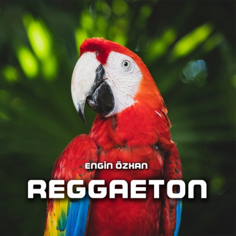 Reggaeton | Boomplay Music