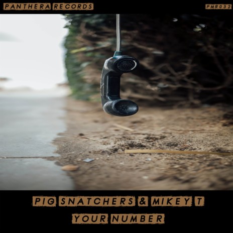 Your Number ft. Mikey T.