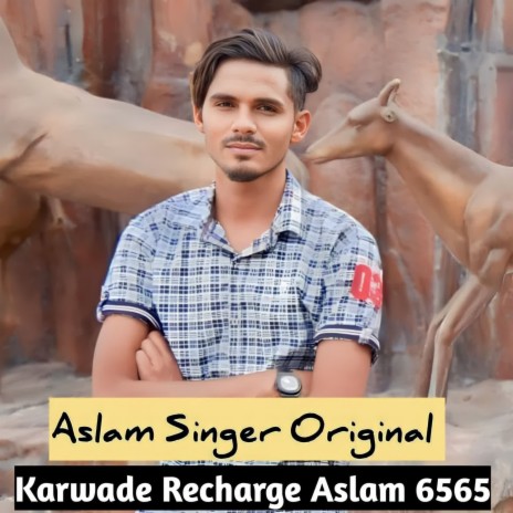 Karwade Recharge Aslam 6565