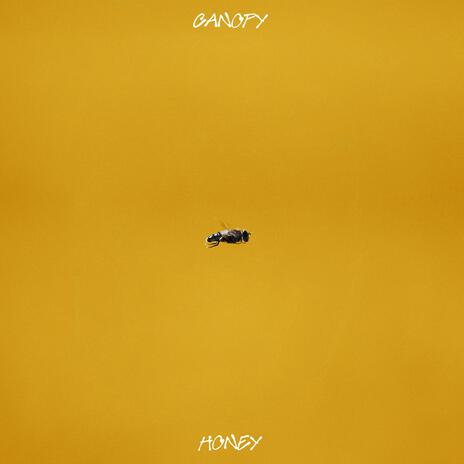 Honey | Boomplay Music