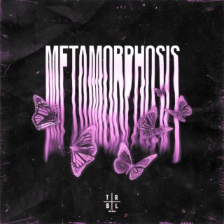 METAMORPHOSIS (Slowed + Reverb)