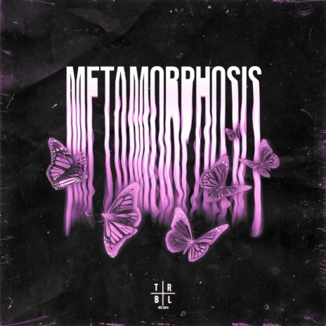 METAMORPHOSIS (Slowed + Reverb) ft. slowed down music