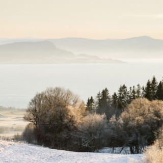 Crisp Winter Morning