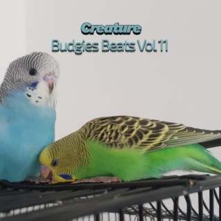 Budgies Beats, Vol. 11