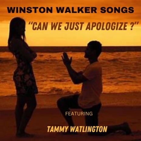 Can We Just Apologize | Boomplay Music