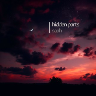 hidden parts