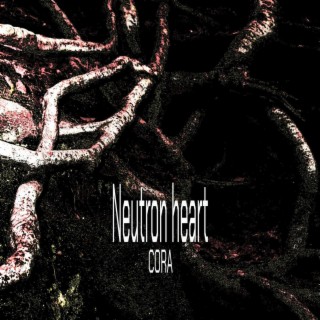 Neutron heart