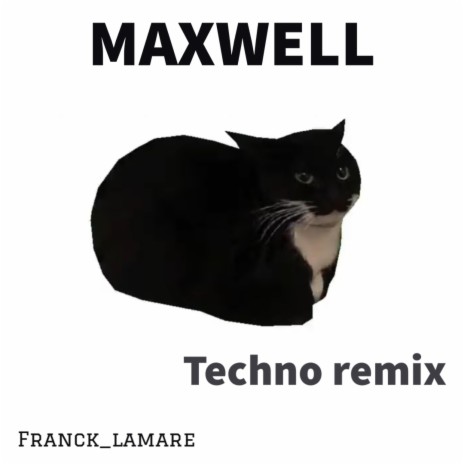 MAXWELL (Techno remix)