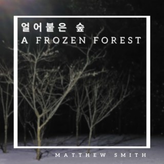 a frozen forest