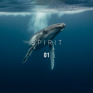 Spirit 01