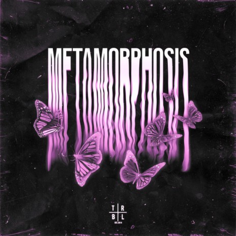 METAMORPHOSIS (Cover)