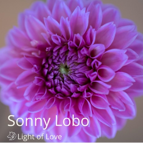 Light of Love | Boomplay Music