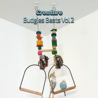 Budgies Beats, Vol. 2
