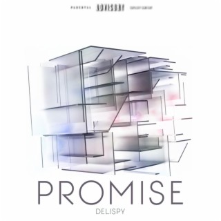 PROMISE